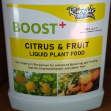Picture of Liquid Citrus Fruit Food (30358)