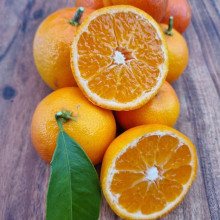 Picture of Mandarin Corsica No.2 (3383)