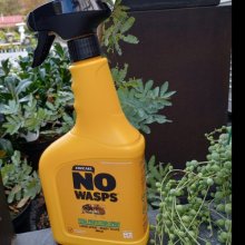 Picture of NO Wasps Total Protection Spray (29523)