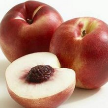 Nectarine Snow Queen Picture of Nectarine Snow Queen (3594)