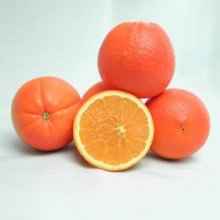 Picture of Orange Fukumoto (6754)