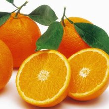 Orange Powell Navel Picture of Orange Powell Navel (8142)