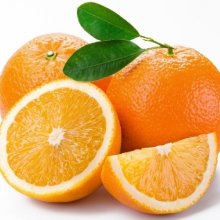 Orange Valencia Picture of Orange Valencia (3689)
