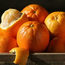 Orange Washington Navel Dwf Picture of Orange Washington Navel Dwf (6335)