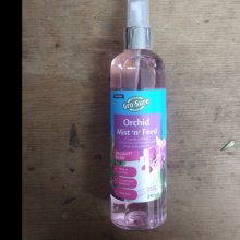 Picture of Orchid Mist n Feed (30004)