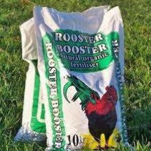 Picture of Organic Rooster Booster (11599)