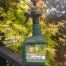 Organic Super Spraying Oil Picture of Organic Super Spraying Oil (29161)