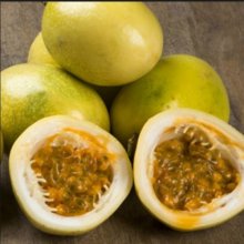 Passionfruit Panama Gold Picture of Passionfruit Panama Gold (10207)