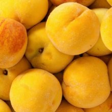 Picture of Peach Apricot Queen (10545)