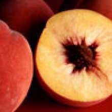 Peach Gordons Glory Picture of Peach Gordons Glory (3824)