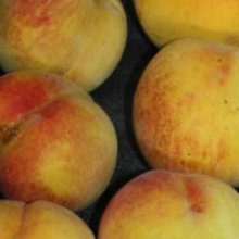 Peach Paragon Picture of Peach Paragon (3830)