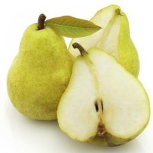 Pear Dble Belle de Jumet/Seckle Picture of Pear Dble Belle de Jumet/Seckle (9557)