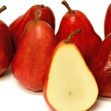 Pear Dble Red Bartlett/Doyenne du Comice Picture of Pear Dble Red Bartlett/Doyenne du Comice (8716)