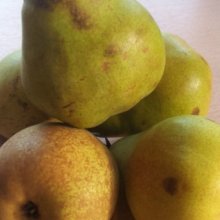 Pear Doyenne du Comice PC Picture of Pear Doyenne du Comice PC (28532)