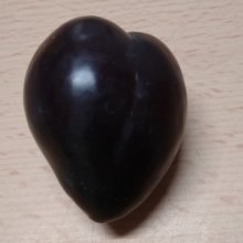 Plum Elephant Heart GQ Picture of Plum Elephant Heart GQ (28563)