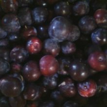 Plum MacVerna MB Picture of Plum MacVerna MB (4121)