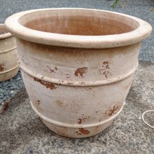 Pot Capri Planter Antique choc Picture of Pot Capri Planter Antique choc (30511)