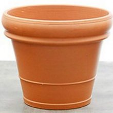 Picture of Pot Terracotta Doppio Bordo (4282)