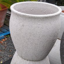Picture of Pot Tulip Bubble White (29493)