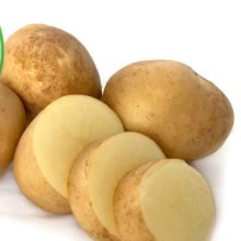 Potato Haylo Picture of Potato Haylo (10469)