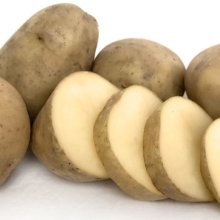 Potato Maris Anchor Picture of Potato Maris Anchor (4302)