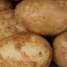 Potato Nadine Picture of Potato Nadine (4303)