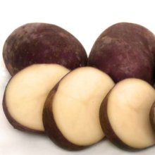 Potato Purple Passion Picture of Potato Purple Passion (6068)