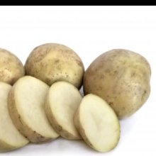 Potato Rua Picture of Potato Rua (4145)