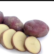 Potato Van Rosa Picture of Potato Van Rosa (10472)