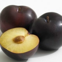 Picture of Prune Plum Cheviot MB (7321)
