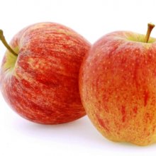 Apple Dble Royal Gala/Pacific Rose MM106 Picture of Apple Dble Royal Gala/Pacific Rose MM106 (30099)