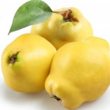 Quince Pineapple Picture of Quince Pineapple (4611)
