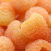 Picture of Raspberry Ivory (4632)