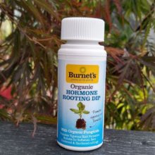 Rooting Hormone Organic Dip Picture of Rooting Hormone Organic Dip (1176)