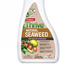 Picture of Thrive Natural Seaweed Tonic (10325)