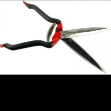 Picture of Jakoti Hand Shears (11231)