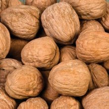 Walnut Wilsons Wonder Picture of Walnut Wilsons Wonder (5418)