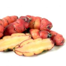 Yam Red Picture of Yam Red (9816)