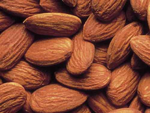 Picture of Almond 402