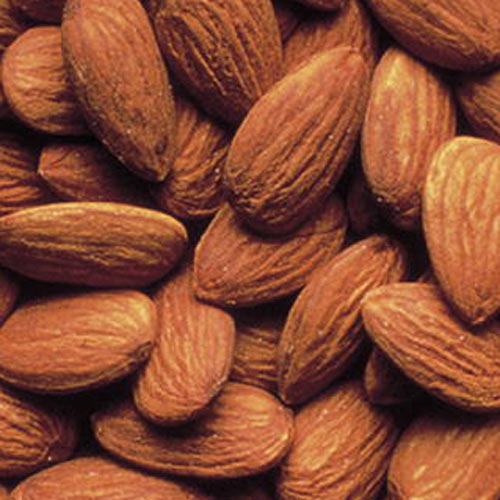 Picture of Almond Garden Prince Dwf GQ