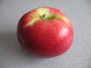 Picture of Apple Akane M26