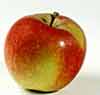 Picture of Apple Braeburn M26