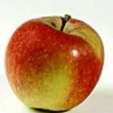 Picture of Apple Braeburn MM102