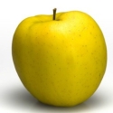 Picture of Apple Dble Golden Delicious/Granny Smith MM106