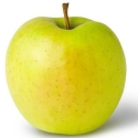 Picture of Apple Golden Delicious Espalier