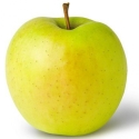 Picture of Apple Golden Delicious M26