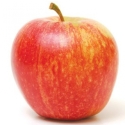 Picture of Apple Royal Gala M116
