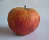 Picture of Apple Telstar NS