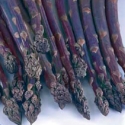 Picture of Asparagus Pacific Purple Pkt of 5