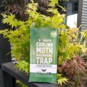 Picture of Codling Moth Trap 2 Lure Long life